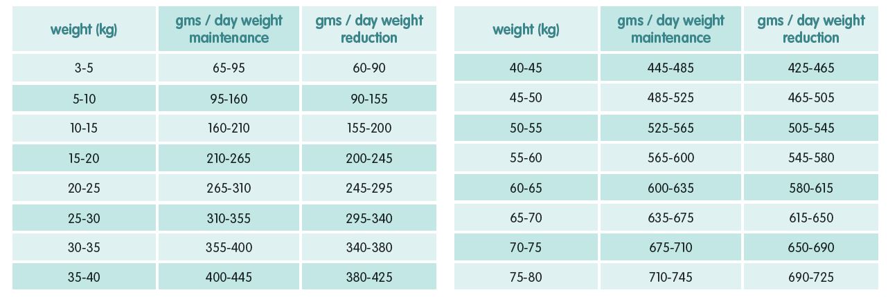 Arden grange puppy sale food feeding guide